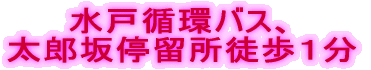 ���ˏz�o�X�A���Y��◯���k���P��